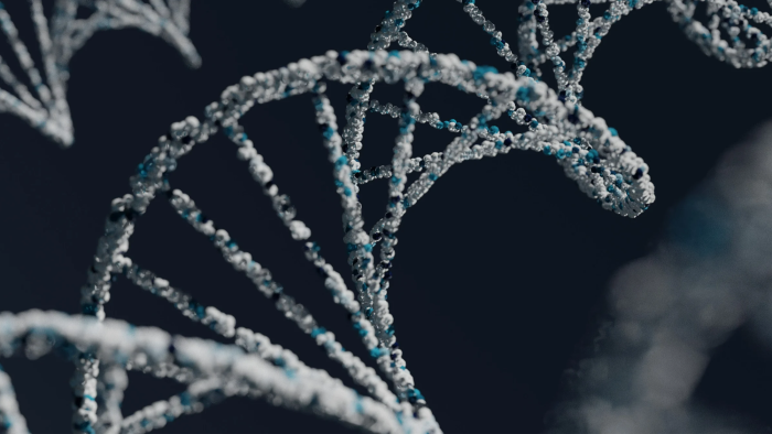 Genetics